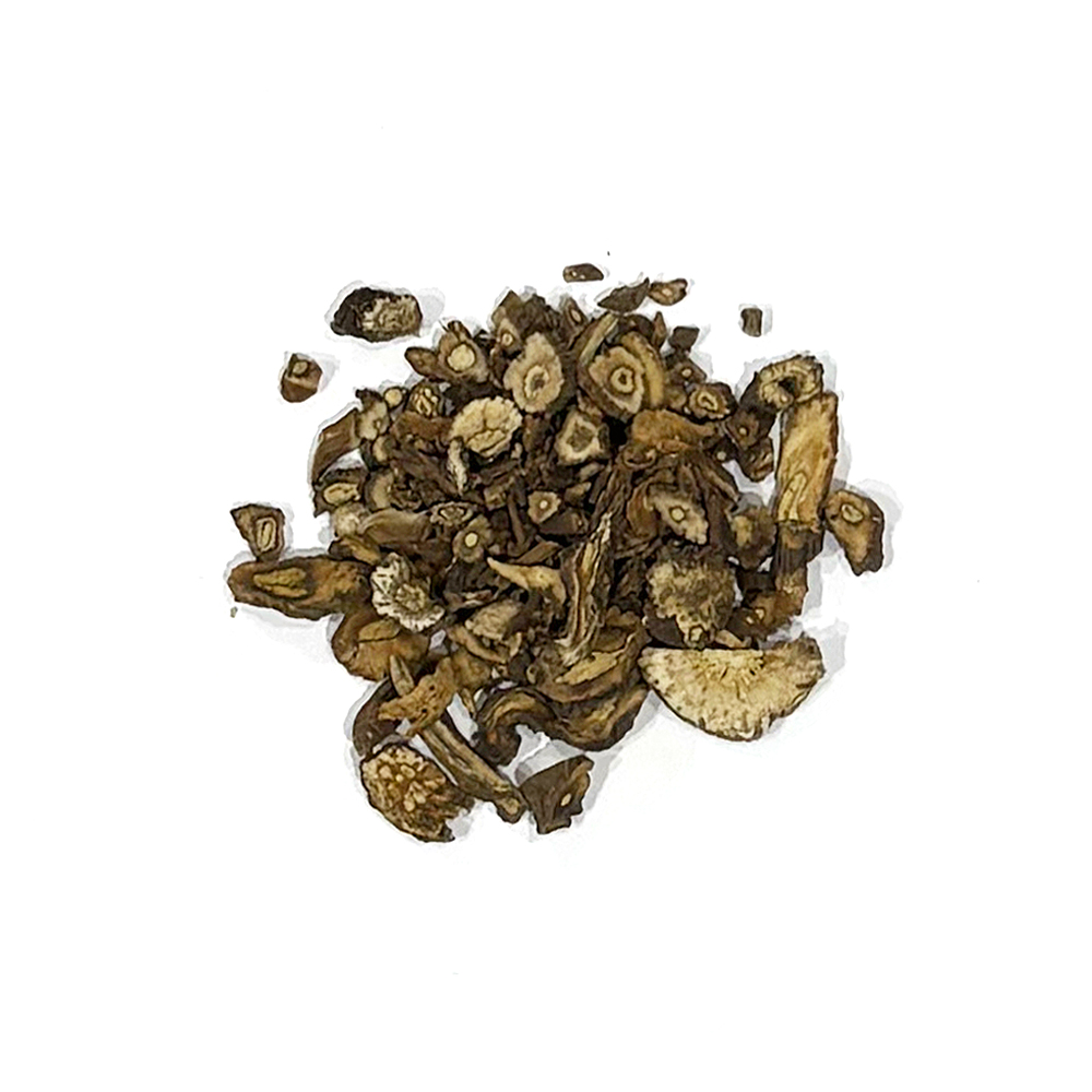 ダンデイライオン_中国産