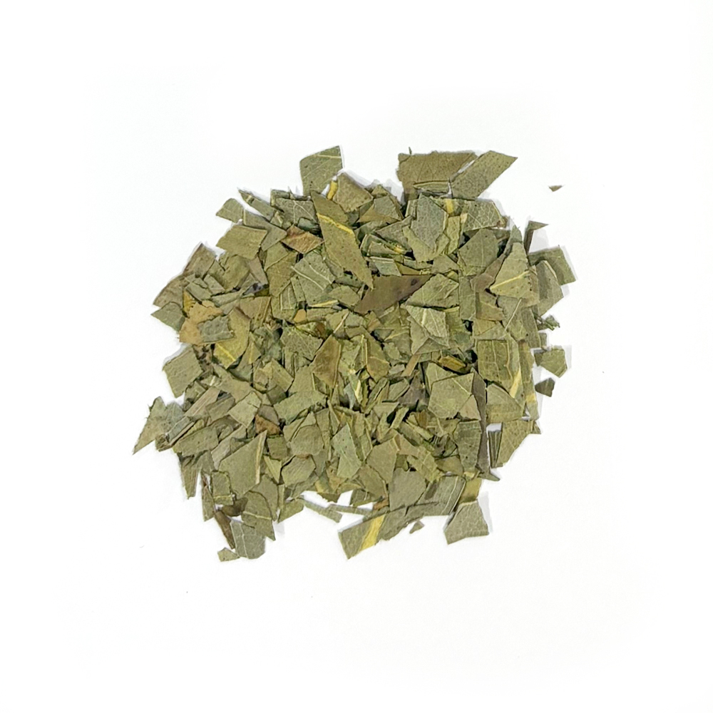 ユーカリ_中国産