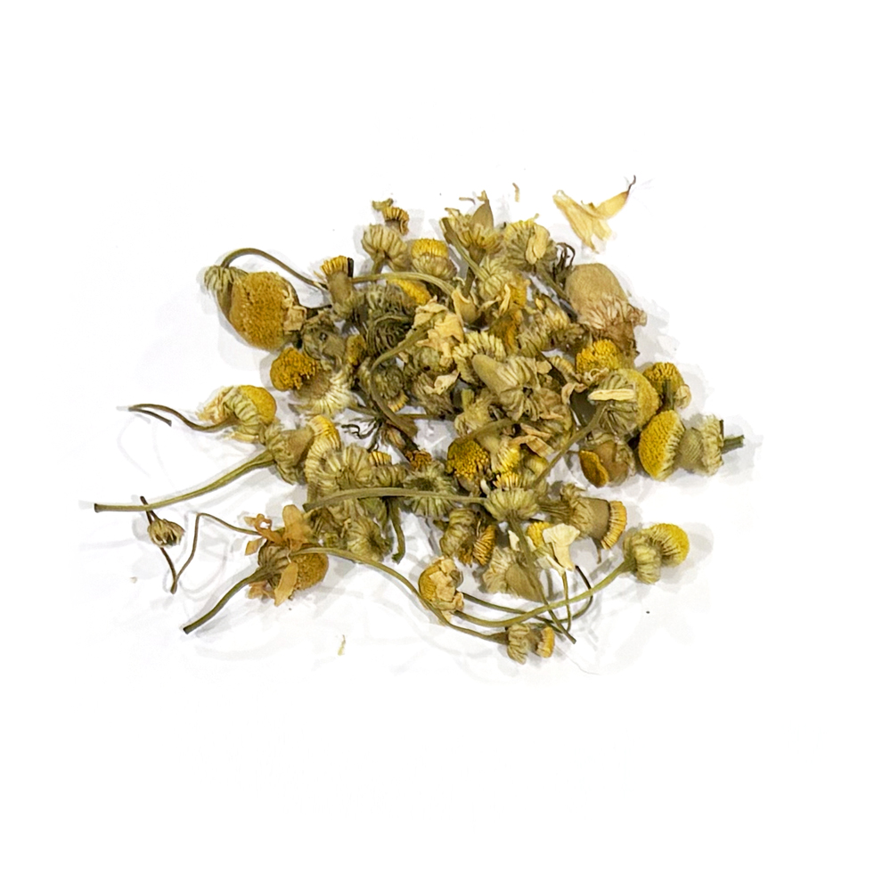 ジャーマン・カモミール_エジプト産