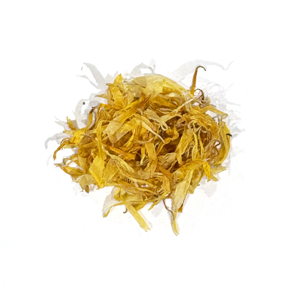 マリーゴールド_エジプト産