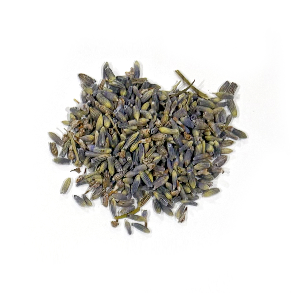 ラベンダー_フランス産