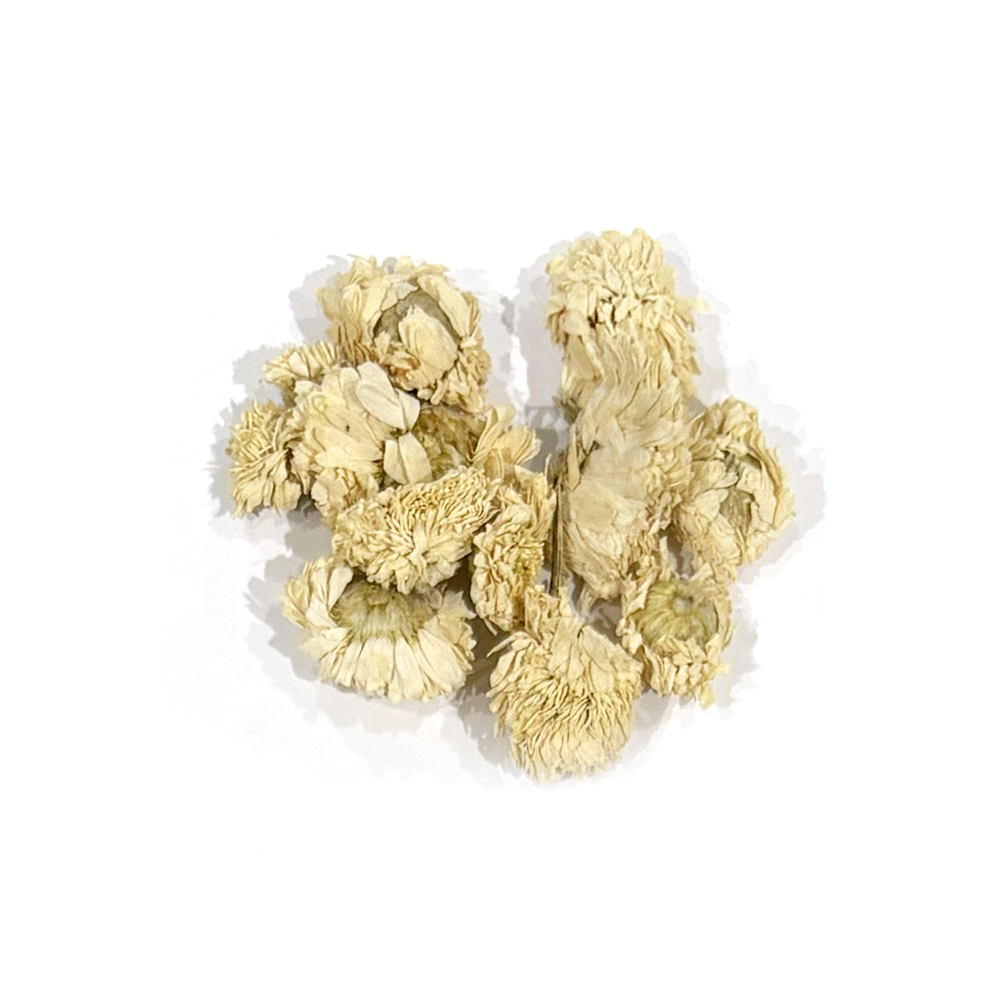 ローマン・カモミール_フランス産