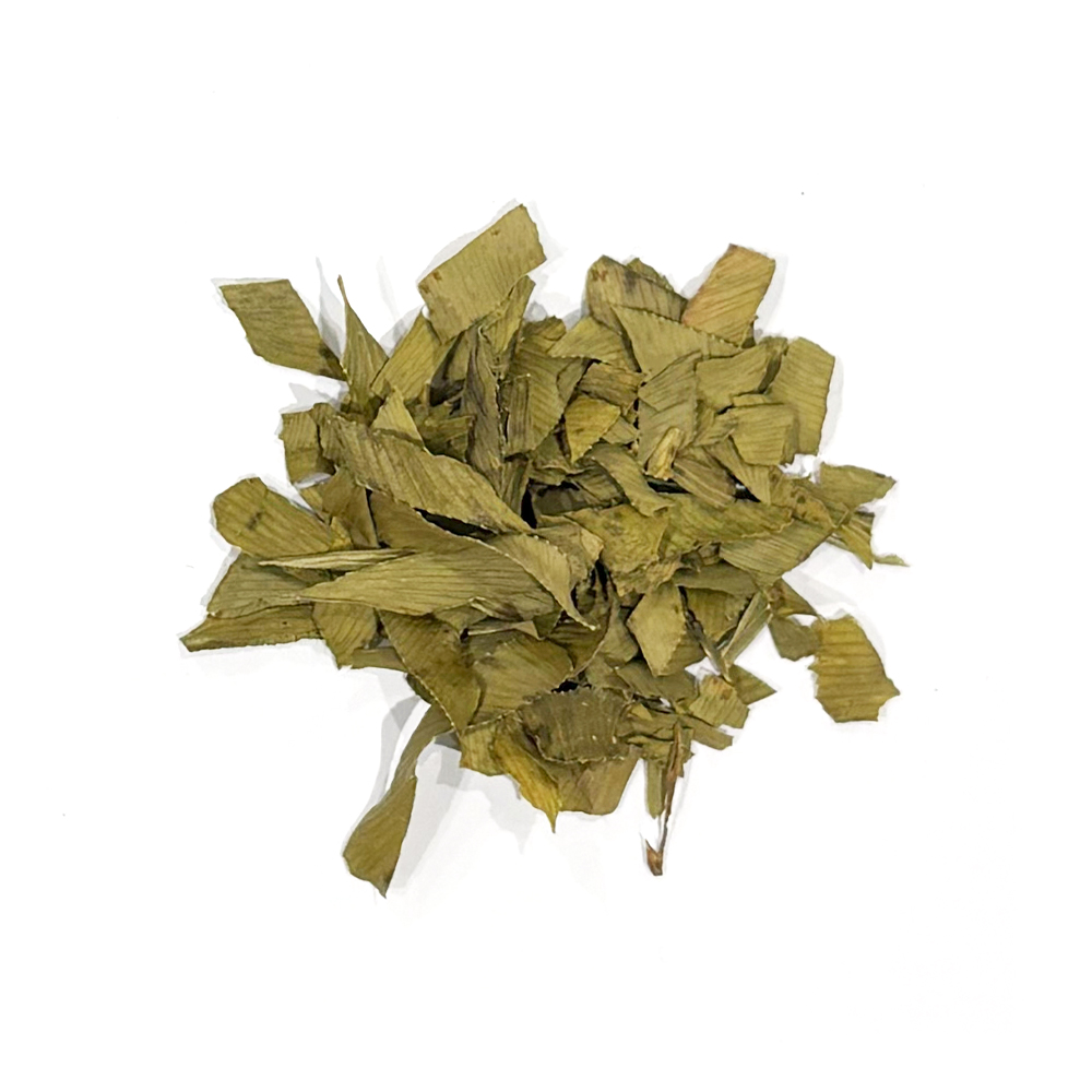 イチョウの葉_国産