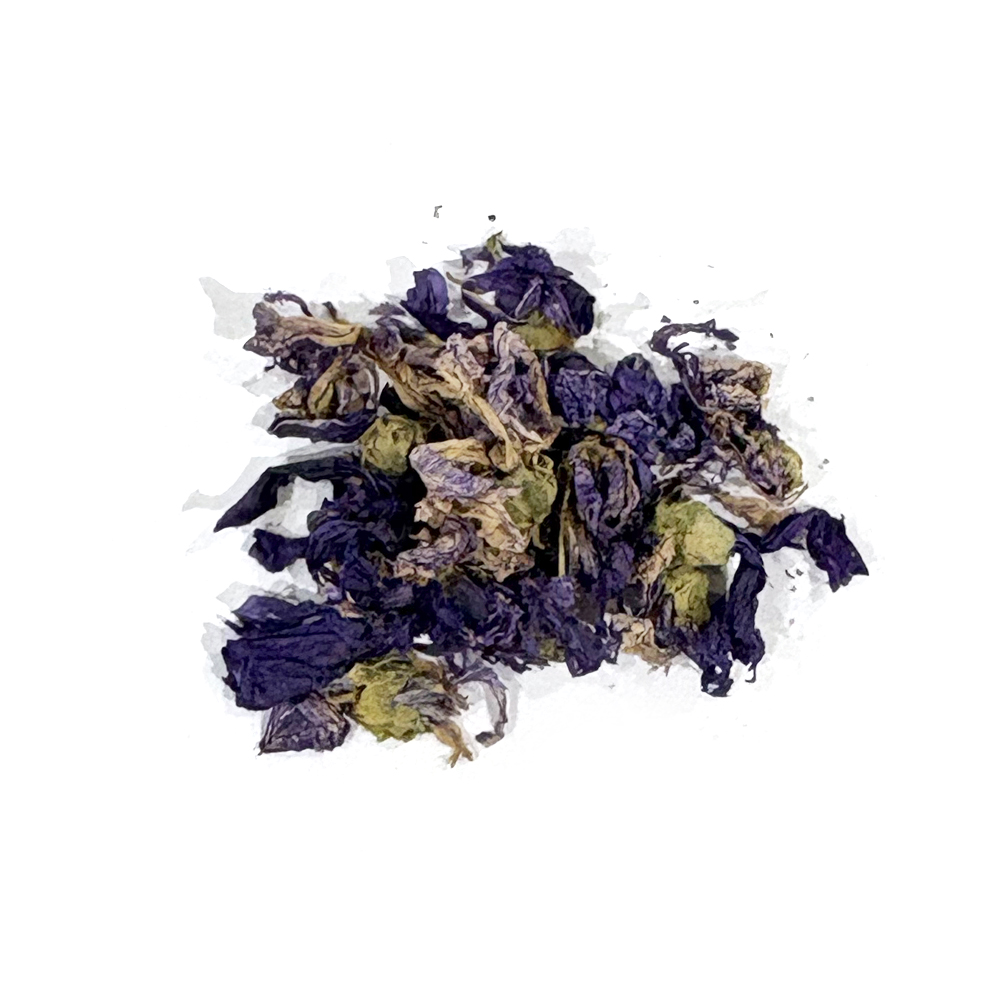 マロウブルー_コソボ産