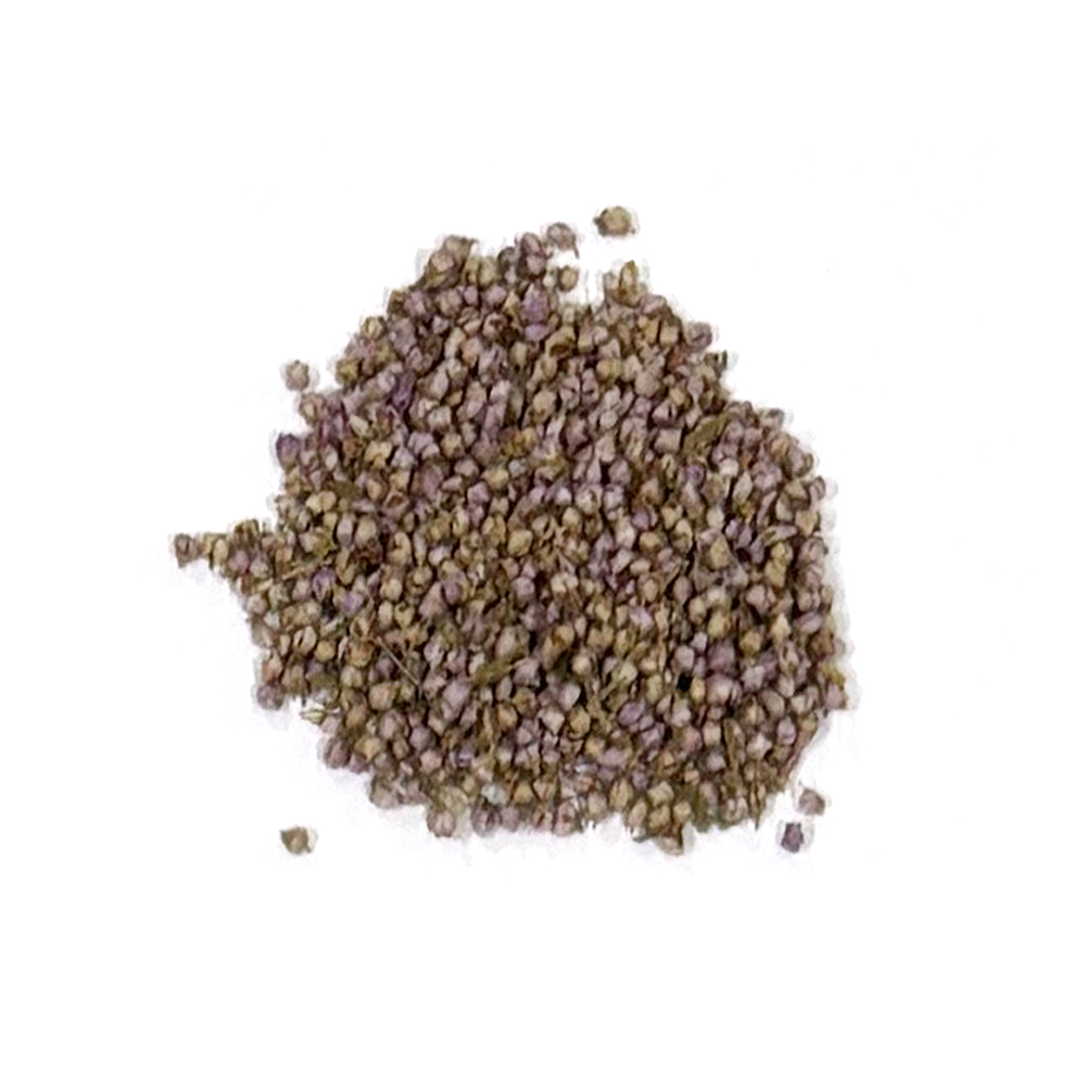 ヒース_ポーランド産